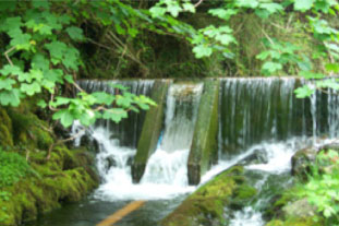 hydro